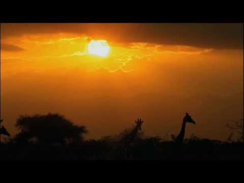 Unterwegs im Süden Afrikas Trailer