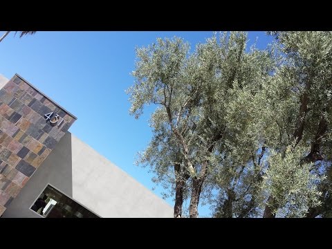 Architectural Digest