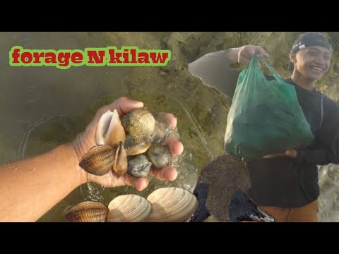 p1 Tiba -tiba kami sa Dami Ng Sea Shells!! Halos nahirapan c moymoy sa pagdadala sa Sobrang Dami!