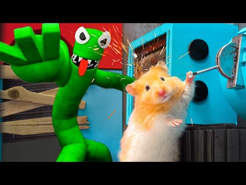 Hamster Adventures In Rainbow Friends Maze In Real Life [OBSTACLE COURSE] #2