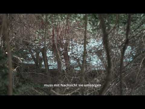 Gedenk - Lichtung  - 170 - www.kunstkreuzung.de