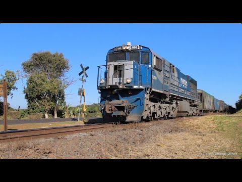 Trem da Rumo passando por Cambira, Paraná - GE ES43BBi 666