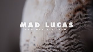 Mad Lucas - Killer (Official Video)