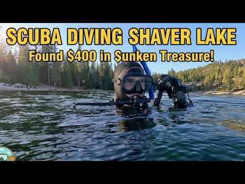 Shaver Lake Live Webcam