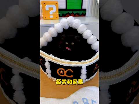 The blackest cat in the world 🐈🥹 | दिखाई नहीं देती 😂