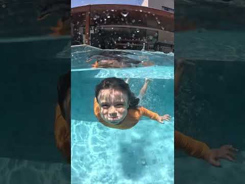 O mergulho do peixe Nono #shortsvideoviral #familia #piscina