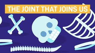 Download lagu Your Shoulder, Knee and Toe Joints mp3