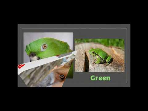 Alaska- Learning Colors in the Dena'ina language