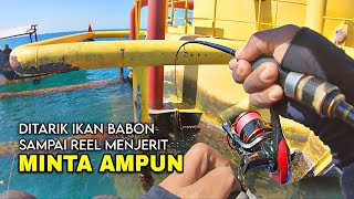 Download lagu NGERI IKANNYA BABON-BABON‼️SARANG IKAN BABON PALING NIKMAT DIJAMIN KETAGIHAN MANCING DISINI mp3 Download lagu NGERI IKANNYA BABON-BABON‼️SARANG IKAN BABON PALING NIKMAT DIJAMIN KETAGIHAN MANCING DISINI mp3