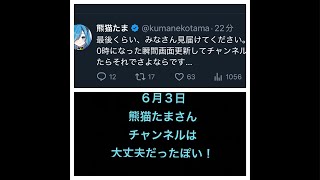 熊猫たまさん、日本保守党からチャンネル削除アタックは回避できたか？