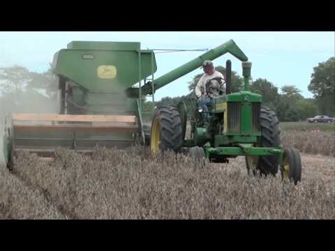 BEAN HARVEST with Antique Combines JD & Oliver  tubalcain