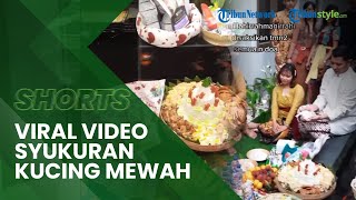 Viral Video Seorang Pria Mengadakan Acara Mewah untuk Kucingnya Hingga Habiskan Jutaan Rupiah