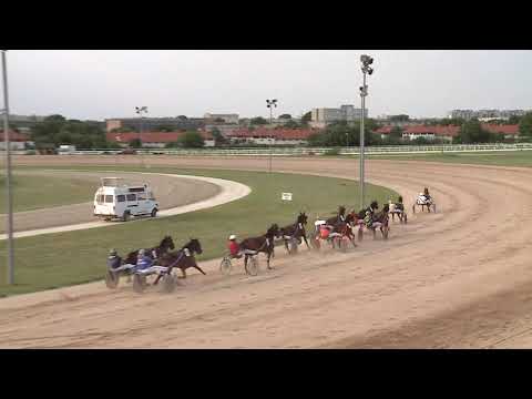 2020.07.11. 10. futam - RÓZSAKERT HENDIKEP