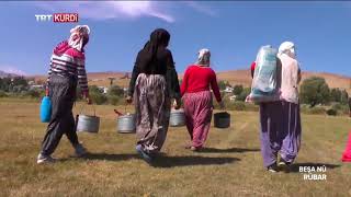 Rûbar - Beşa 5.