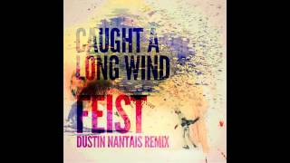 Feist - Caught A Long Wind (Dustin Nantais remix)