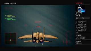 Ace Combat 7　タイマン