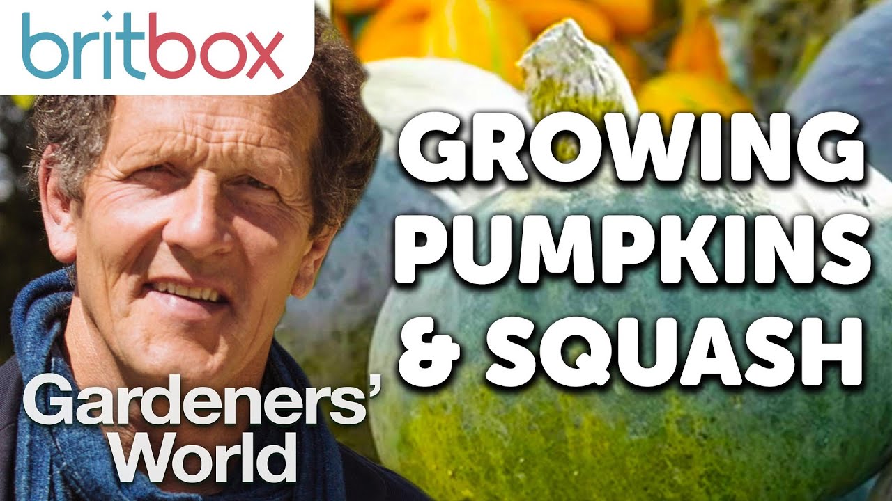 Growing Different Types of Pumpkins and Squash in One Bed Successfully | Top Tips | Gardeners' World - YouTube