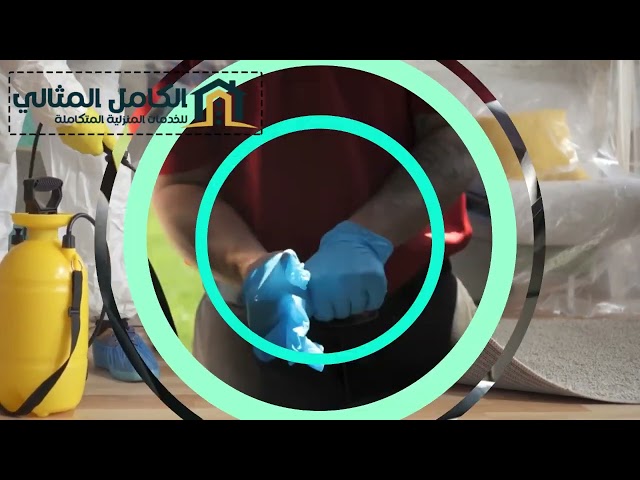 شركة مكافحة حشرات بالقطيف