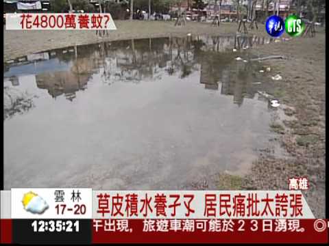 登革熱溫床? 積水養蚊沒人處理