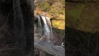 【自然】白糸の滝１