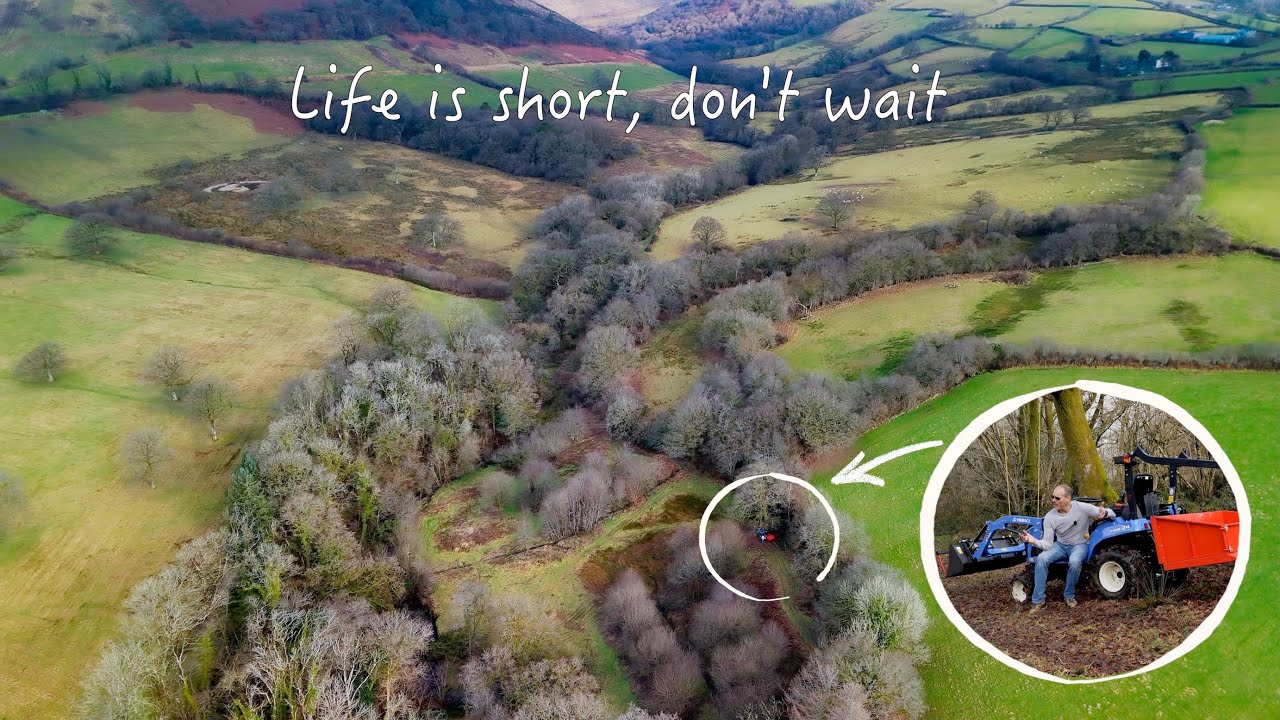 I Changed Everything, A Little Too Late