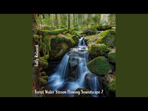 Forest Water Stream Flowing Soundscape, Pt. 20