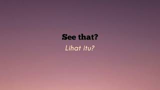 Novo Amor_(Utican)_Lirik terjemah indonesia #novoamor