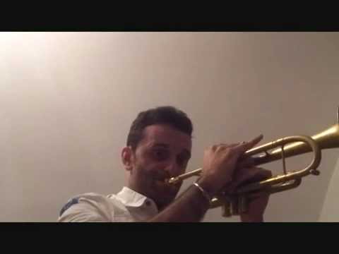 Domenico Marino whit MONETTE MF - cazzeggiando green hornet