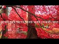 অমরত্বের প্রত্যাশা নেই Omorotter Prottasha Nei Lyrics By Kab