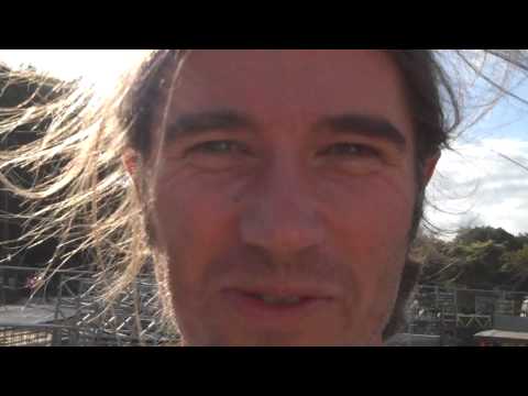 Bestival 2009 Rob da Bank's backstage with Friendly Fires - Friday - NME.com Exclusive