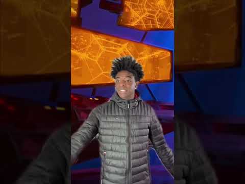 If I was in Spider-Man Across The Spider-Verse