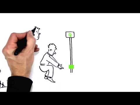 Foxtrail - play with the city