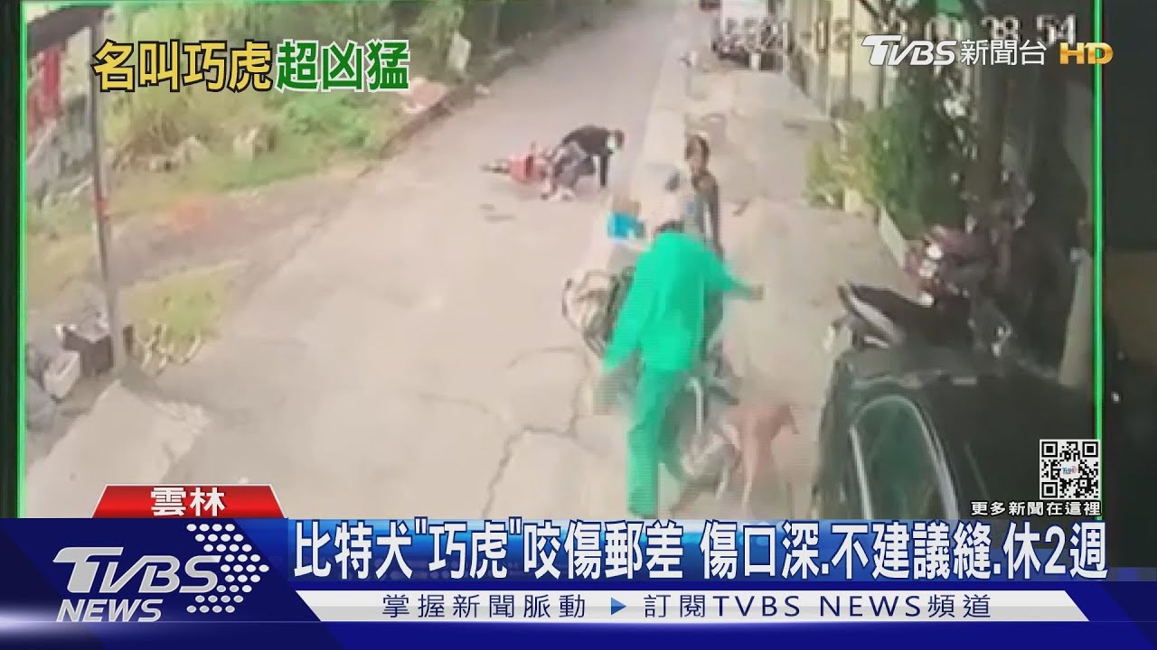 比特犬「巧虎」咬傷郵差 傷口深、不建議縫、休2週