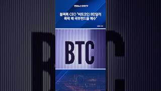 블랙록 CEO "비트코인 8만달러 폭락 때 국부펀드들 매수"