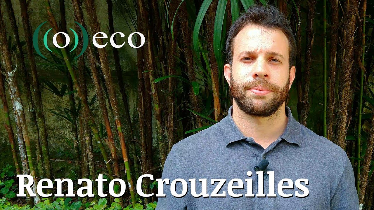[PENSE VERDE] O que é restauração de ecossistemas? - Renato Crouzeilles
