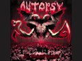 Autopsy dead hole