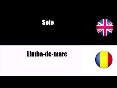 FROM ROMANIAN TO ENGLISH = Pesti plati