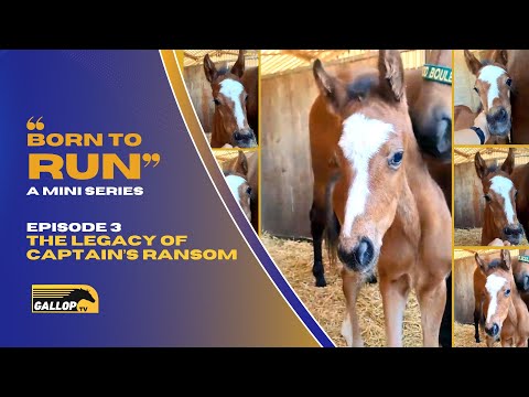 BORN TO RUN : THE LEGACY OF CAPTAIN'S RANSOM