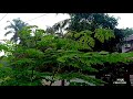 Onnu Nanayan Ambili Movie B Roll Video Whatsapp Status Malayalam Song