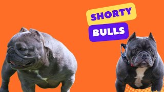 Shorty Bulls (part 2)  - Oscar Chita & Jennifer Smith-Beaudoin | Ep. 6