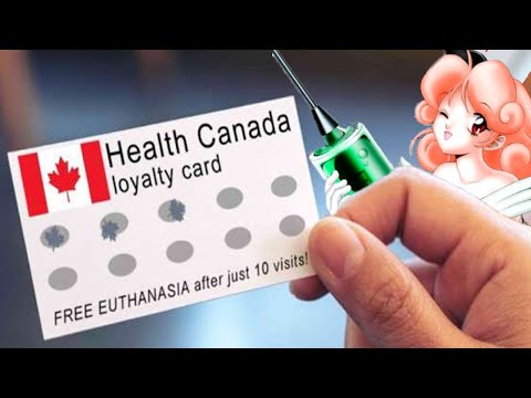 MAID Service | The Story of MAID in Canada