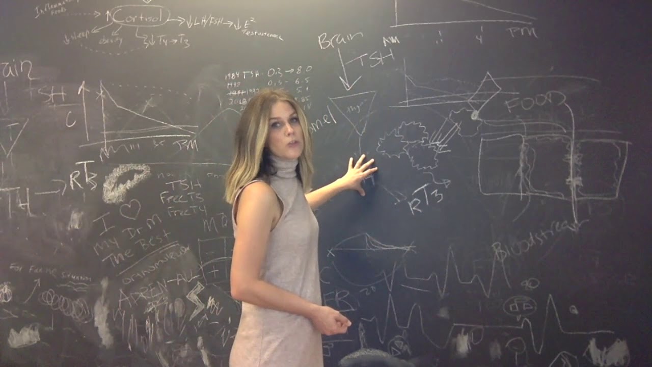 refresher on how thyroid works