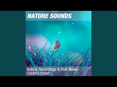 Nature Sounds for Sleep & Deep Meditation (Calm woodland, pink noise) 16