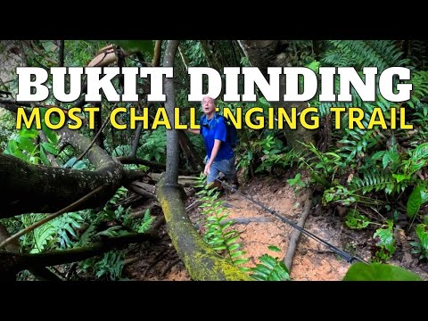 Conquering Mini-Tahan: The Most Challenging Trail in Bukit Dinding, Kuala Lumpur! 🌿🥾