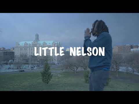 Little Nelson - N3TFL1X