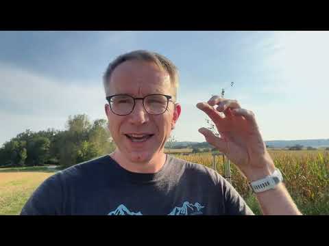 Co když se bojím používat svá obdarování?  - Uvedení do neděle 8. září