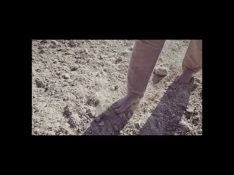 Treinta y Tres Años Muerto (Introducción)