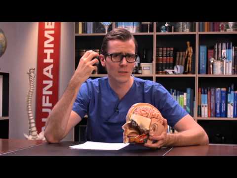 Was ist der Unterschied zwischen einer Erkältung und einer Grippe?