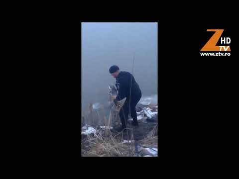 Prinsi cu somnul in plasa