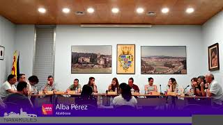 Ple Ordinari 25-06-2025